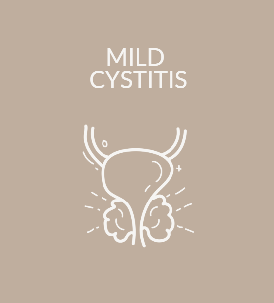 Mild Cystitis