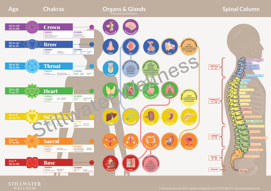 The Stillwater Wellness Reference Chart