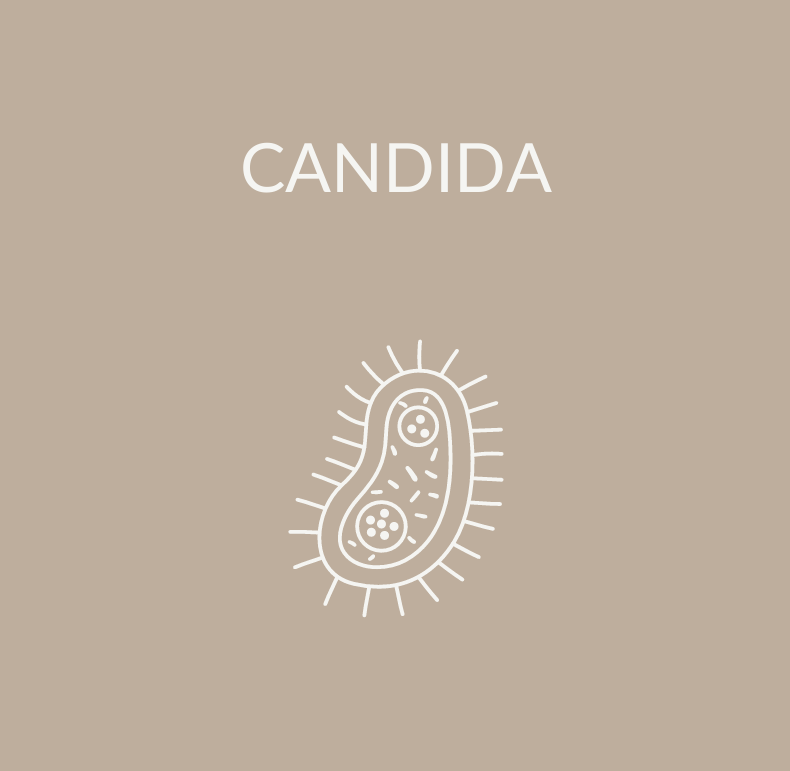 Candida