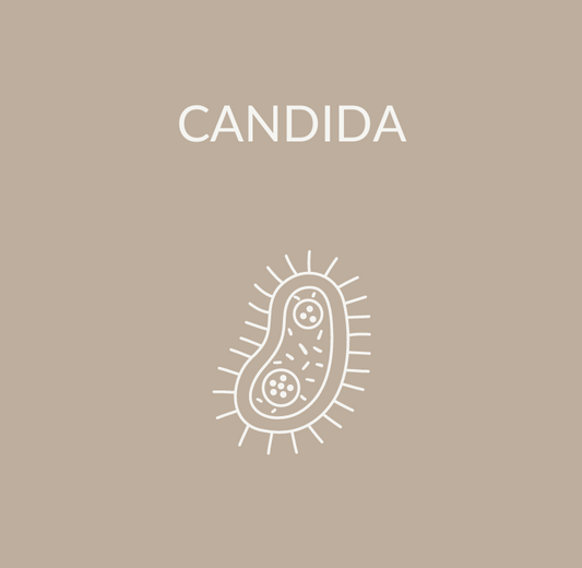 Candida