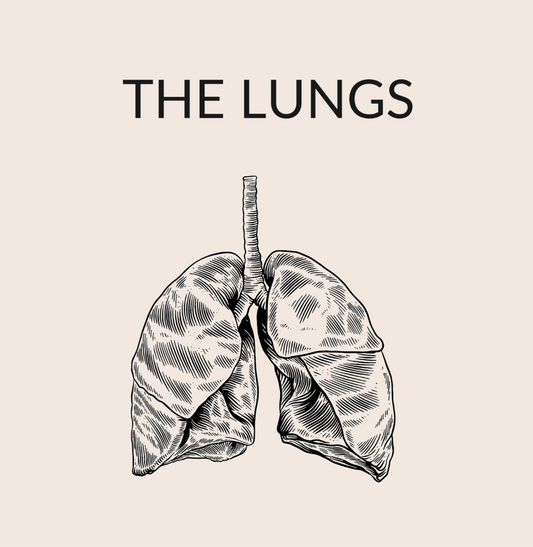 The Lungs