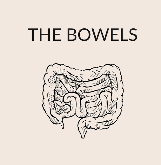 The Bowels