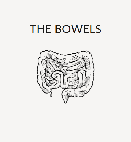 The Bowels