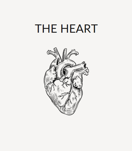 The Heart